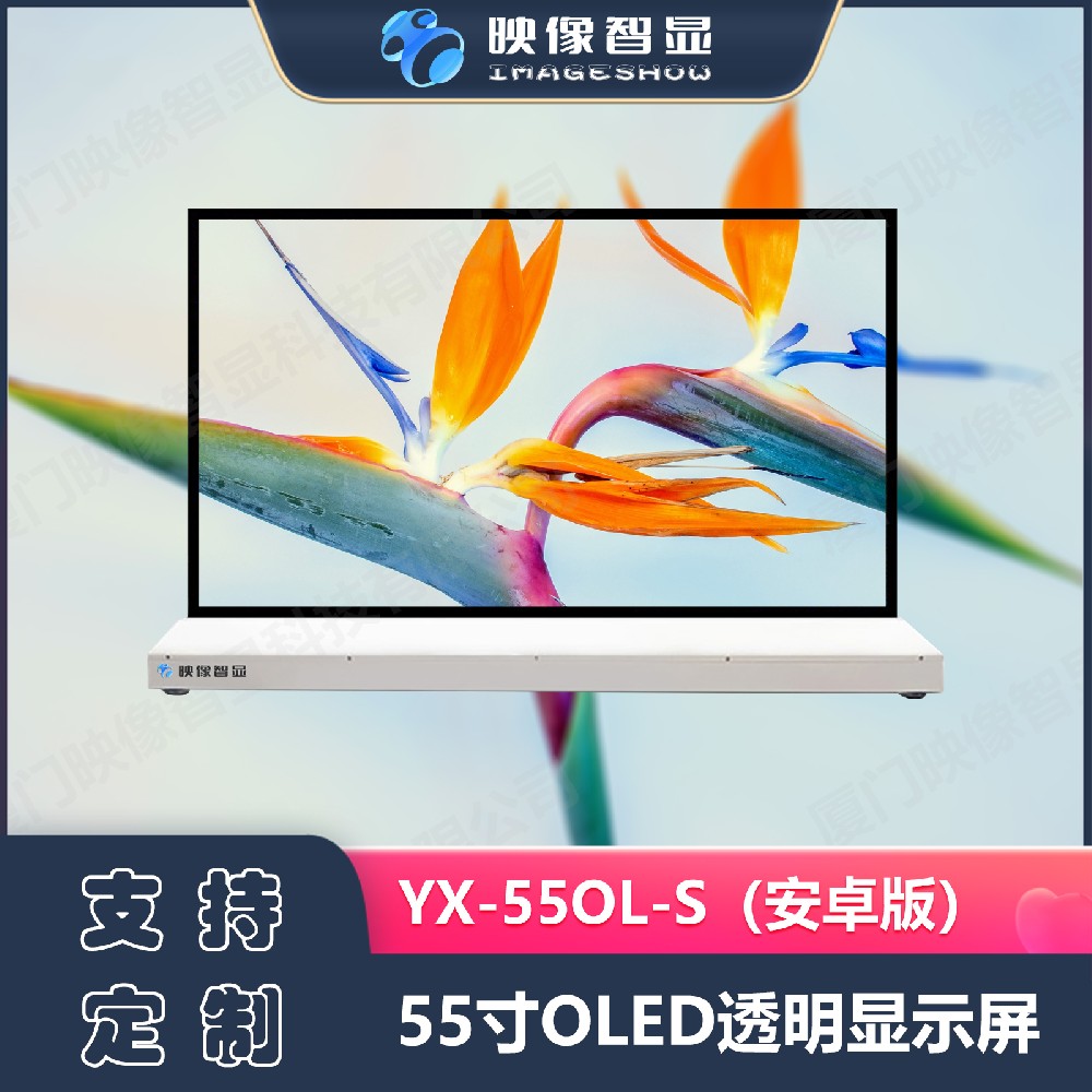 55寸OLED透明显示屏安卓版支持定制