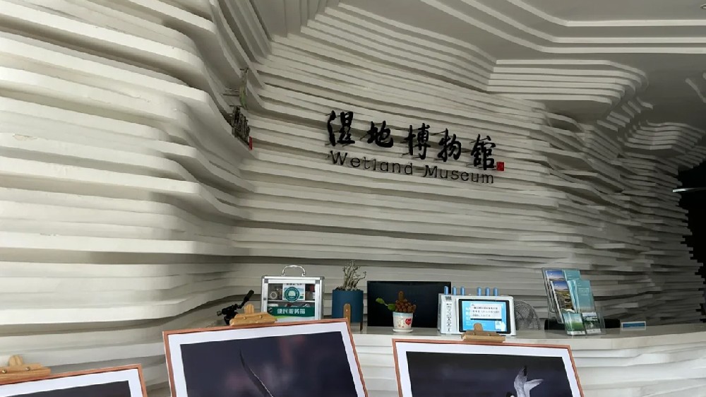 专注、专业、专心，闽江口湿地博物馆项目施工